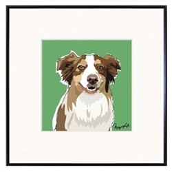 Framed Print: Aussy Shepherd, Brown spot