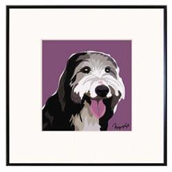 Framed Print: Bearded Collie