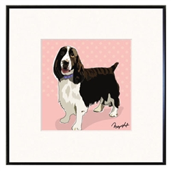 Framed Print: Springer Spaniel