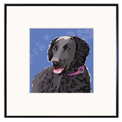 Framed Print: Retriever, Curly Coated