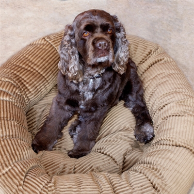 Luca Plush Corduroy Nest Beds 
