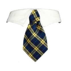 Harry Shirt Collar