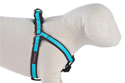 Chocolate/Turquoise Stripe Collection