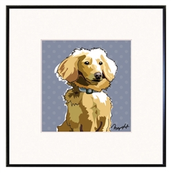 Framed Print: Dachshund Longhair, brown