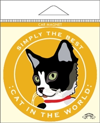 Cat in the World - Car Magnet