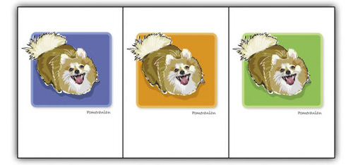 Pomeranian Looking Up - Grrreen Boxed Note Cards