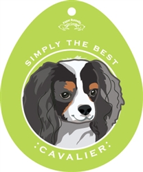 Cavalier, Tri Color - Sticker