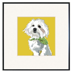 Framed Print: Coton de Tulear print