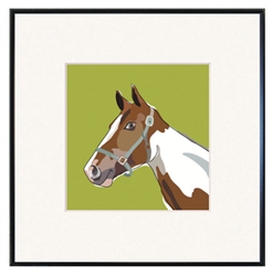 Framed Print: Horse, Pinto