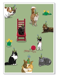 Birthday: Many Cats