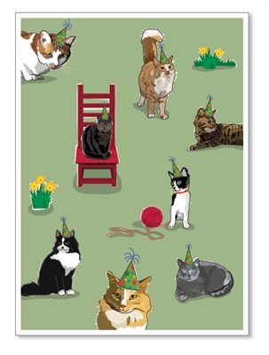 Birthday: Many Cats