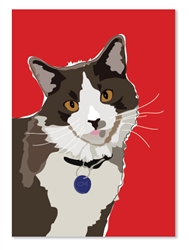 Birthday: Cat brown spot