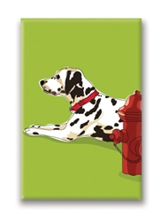 Dalmatian - Fridge Magnet