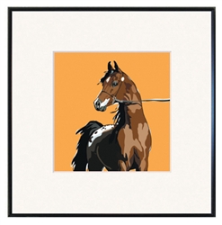 Framed Print: Horse, Appaloosa