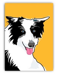 Blank Inside - Border Collie