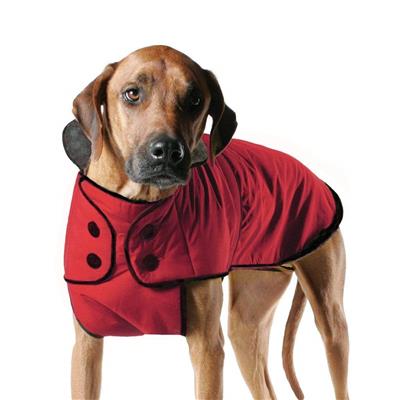 Belted Coat