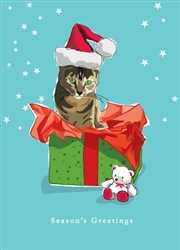 Cat in Gift Box