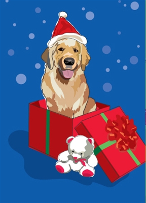 Golden Retriever in Gift Box