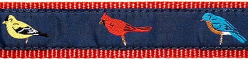 Songbird- 1.25" Collars, Leashes and Harnesses