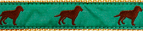 Chocolate Dog - 1.25" Collars, Leashes and Harnesses