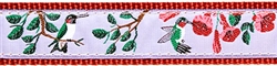 Humming Bird- 1.25" Collars, Leashes and Harnesses