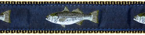 Striped Bass- 1.25" Collars, Leashes and Harnesses