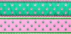 Paws- 3/4" Collars, Leashes and Harnesses