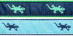 Gecko-  3/4" Collars, Leashes and Harnesses