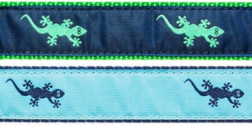 Gecko-  1.25" Collars, Leashes and Harnesses