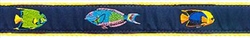 Tropical Fish- 1.25" Collars, Leashes and Harnesses