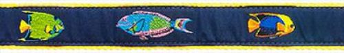 Tropical Fish- 1.25" Collars, Leashes and Harnesses