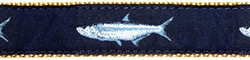 Tarpon- 1.25" Collars, Leashes and Harnesses