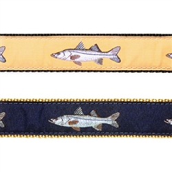 Snook - 3/4" Collars, Leashes and Harnesses