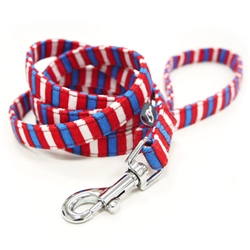 EasyCLICK Leash - Fun Stripes
