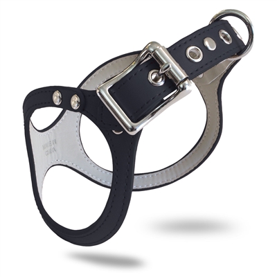 k9 advantix vs frontline