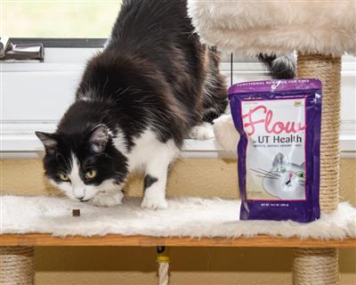 Flow® Feline Urinary Tract Support - 2.1 oz.