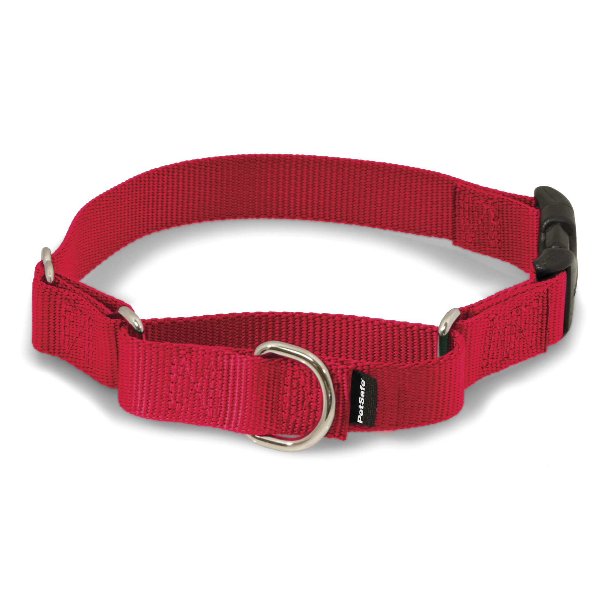 Pink Martingale Dog Collar And Flower, Floral