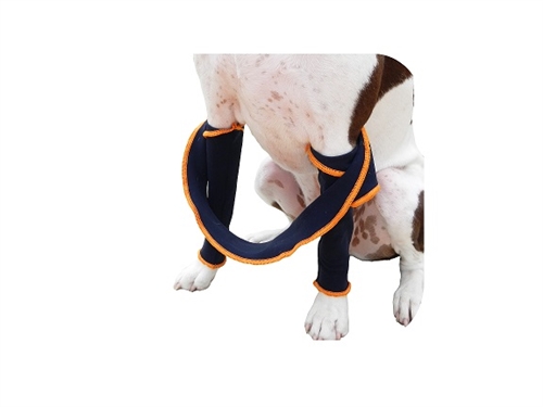 H4 Legs to Stop Licking and Biting 