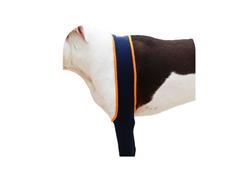 Extra Product Image