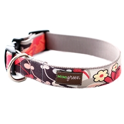 'Brandy' Collars & Leashes