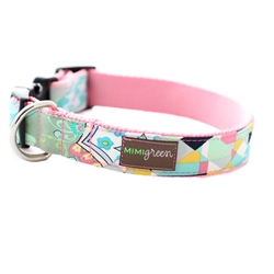 'Luca' Collars & Leashes
