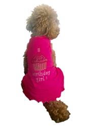 Birthday Girl Cupcake Dress