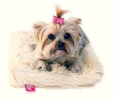 Crate Liner, Caramel Shag Plush