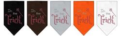 Extra Product Image