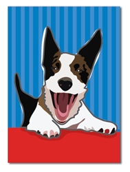 Birthday: Surprise! dog