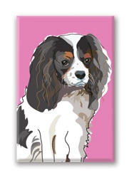 Cavalier, Tri-Color Fridge