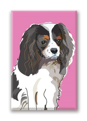 Cavalier, Tri-Color Fridge