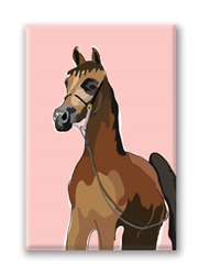 Horse, Arabian Fridge Magnet