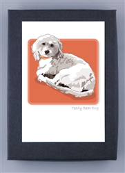 Teddy Bear Dog - Grrreen Boxed Note Cards