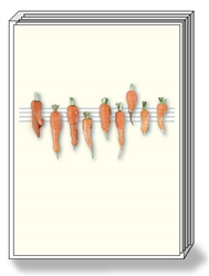Carrot Box Notes (1 box/pk)